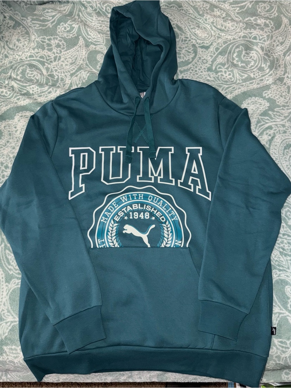 Puma Men's Teal Pullover Hoodie with Graphic Logo